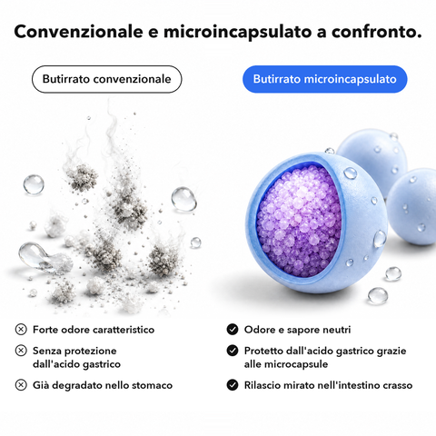 Butirrato Microincapsulato: Convenzionale e microincapsulato a confronto