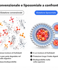 Glutatione Liposomiale: Convenzionale e liposomiale a confronto