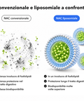 NAC Liposomiale: Convenzionale e liposomiale a confronto