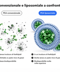 PEA Liposomiale: Convenzionale e liposomiale a confronto