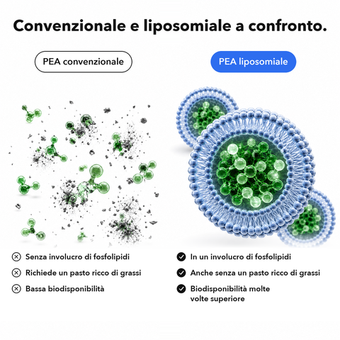 PEA Liposomiale: Convenzionale e liposomiale a confronto