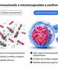 Probiotici Intimi Microincapsulati: Convenzionale e microincapsulato a confronto