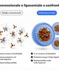 Shilajit Liposomiale: Convenzionale e liposomiale a confronto