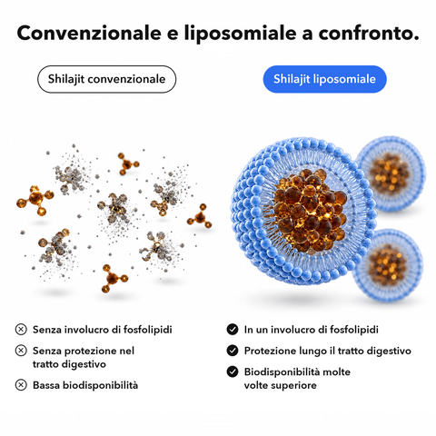 Shilajit Liposomiale: Convenzionale e liposomiale a confronto