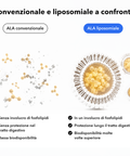 Acido Alfa-Lipoico Liposomiale (ALA): Convenzionale e liposomiale a confronto