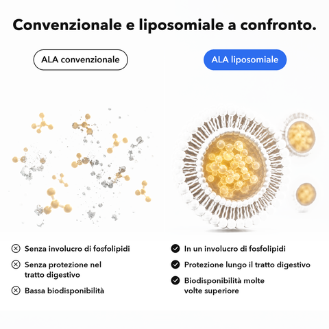 Acido Alfa-Lipoico Liposomiale (ALA): Convenzionale e liposomiale a confronto
