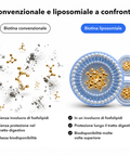 Biotina Liposomiale: Convenzionale e liposomiale a confronto