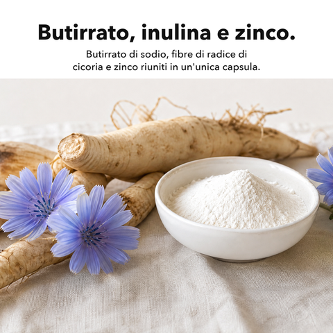 Butirrato Microincapsulato: Butirrato, inulina e zinco