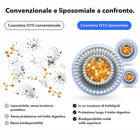Coenzima Q10 Liposomiale: Convenzionale e liposomiale a confronto