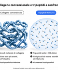 Collagene Marino: Collagene convenzionale e tripeptidi a confronto
