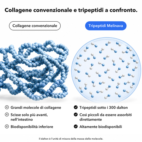Collagene Marino: Collagene convenzionale e tripeptidi a confronto