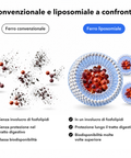 Complesso di Ferro Liposomiale: Convenzionale e liposomiale a confronto