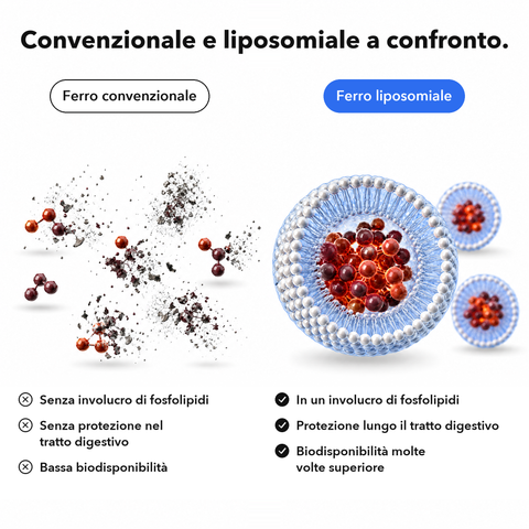 Complesso di Ferro Liposomiale: Convenzionale e liposomiale a confronto