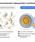 Complesso Vitaminico B Liposomiale: Convenzionale e liposomiale a confronto