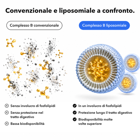 Complesso Vitaminico B Liposomiale: Convenzionale e liposomiale a confronto