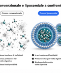 Cromo Liposomiale: Convenzionale e liposomiale a confronto