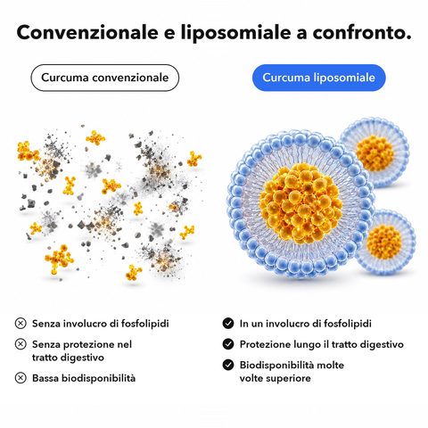 Estratto di Curcuma Liposomiale: Convenzionale e liposomiale a confronto