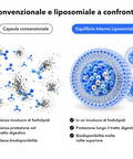 Equilibrio Interno Liposomiale: Convenzionale e liposomiale a confronto