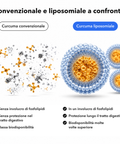 Estratto di Curcuma Liposomiale (Capsule): Convenzionale e liposomiale a confronto
