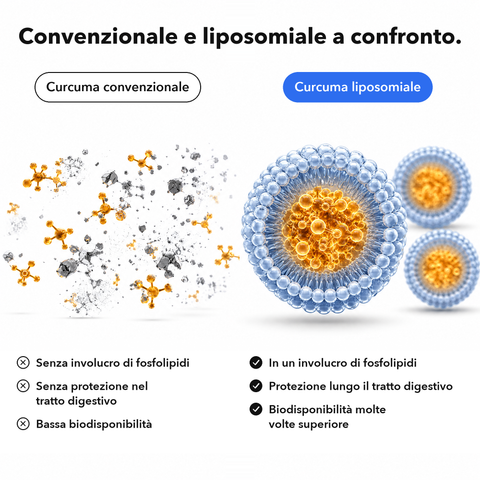 Estratto di Curcuma Liposomiale (Capsule): Convenzionale e liposomiale a confronto