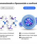 GABA Liposomiale: Convenzionale e liposomiale a confronto