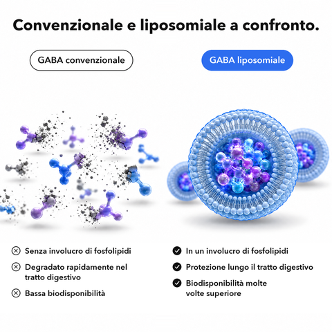 GABA Liposomiale: Convenzionale e liposomiale a confronto