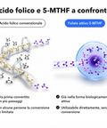 Inositolo + 5-MTHF Liposomiale: Acido folico e 5-MTHF a confronto