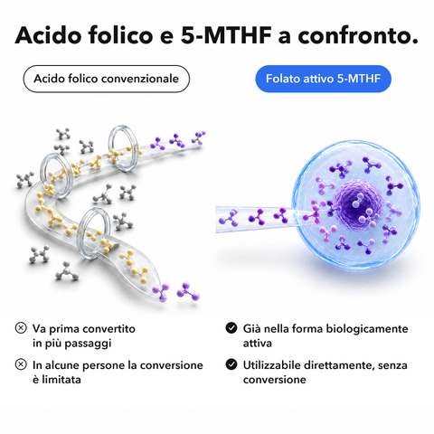 Inositolo + 5-MTHF Liposomiale: Acido folico e 5-MTHF a confronto