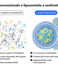 L-Arginina Liposomiale: Convenzionale e liposomiale a confronto
