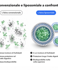 L-Lisina Liposomiale: Convenzionale e liposomiale a confronto