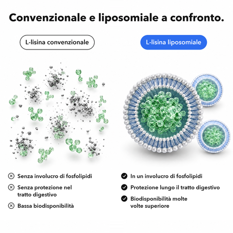 L-Lisina Liposomiale: Convenzionale e liposomiale a confronto