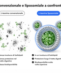 L-Teanina Liposomiale: Convenzionale e liposomiale a confronto