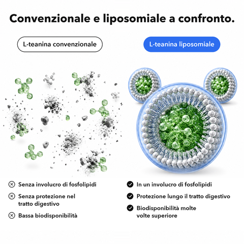 L-Teanina Liposomiale: Convenzionale e liposomiale a confronto