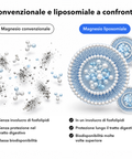 Magnesio Liposomiale (Capsule): Convenzionale e liposomiale a confronto