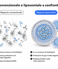 Magnesio Liposomiale: Convenzionale e liposomiale a confronto