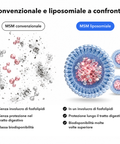 MSM Liposomiale: Convenzionale e liposomiale a confronto
