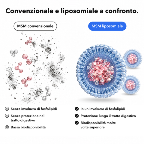 MSM Liposomiale: Convenzionale e liposomiale a confronto