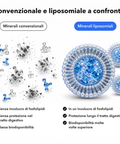 Multiminerale Liposomiale: Convenzionale e liposomiale a confronto
