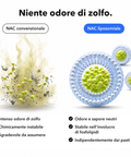 NAC Liposomiale: Niente odore di zolfo