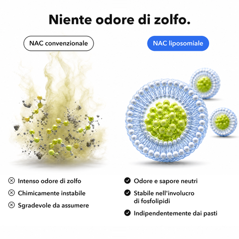 NAC Liposomiale: Niente odore di zolfo