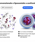OPC Liposomiale: Convenzionale e liposomiale a confronto