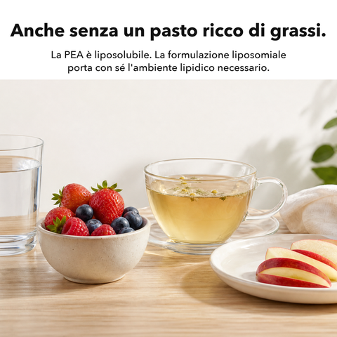 PEA Liposomiale: Anche senza un pasto ricco di grassi