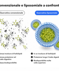 Quercetina Liposomiale: Convenzionale e liposomiale a confronto
