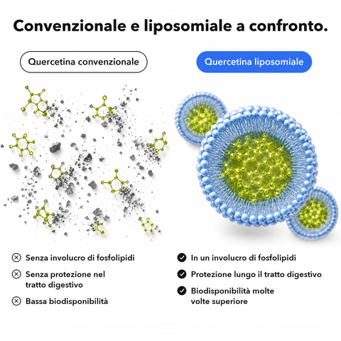 Quercetina Liposomiale: Convenzionale e liposomiale a confronto