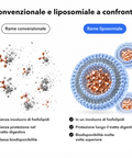 Rame Liposomiale: Convenzionale e liposomiale a confronto