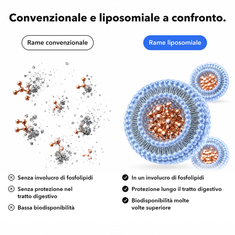 Rame Liposomiale: Convenzionale e liposomiale a confronto