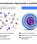 Resveratrolo Liposomiale: Convenzionale e liposomiale a confronto