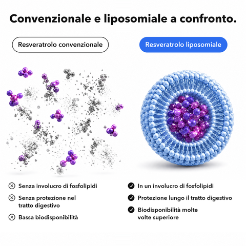 Resveratrolo Liposomiale: Convenzionale e liposomiale a confronto