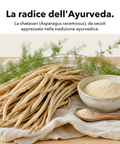 Shatavari: La radice dell'Ayurveda