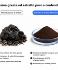 Shilajit Liposomiale: Resina grezza ed estratto puro a confronto